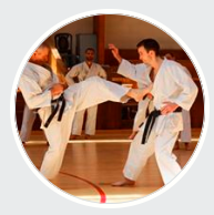 Logo KARATE - SHISEI-KAI